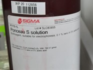 Great Solution to Check Western Blotting