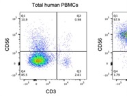 Rapid and Reliable Isolation Kit for Human NK Cells