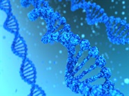 Targeted Next Generation Sequencing