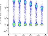 APC Anti-Human CD8 Flow Cytometry Antibody