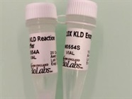 Single Mix to Insert Small Mutations into Plasmids