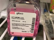 Best Medium to Increase Transfection Efficiency