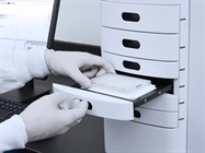 Assessment of Long IVT mRNA Fragments with the Agilent Fragment Analyzer Systems