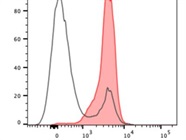 Excellent Anti-Mouse CD3 Antibody (FITCH)