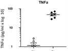 Extremely Reliable and Clean Results with TNF-alpha ELISA