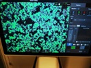 Awesome Microscope