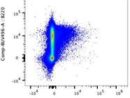Great B220 Antibody with Strong Staining