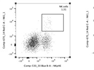 Very Effective BV605 Anti-NK1.1 Mouse Antibody