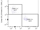 Very Good Mouse BV510 Anti-CD45.1 Antibody