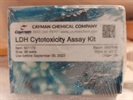 Great LDH Quantification Kit