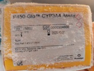 Great Luciferin-Based Quantification of CYP3A4 Activity