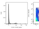 Excellent and Very Specific Ly-6G Antibody