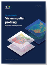 Visium Spatial Profiling