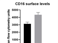 Very Reliable CD16 Antibody
