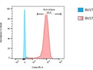 Reliable and Effective HLA-A2 Antibody
