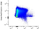 Great CD138 Antibody