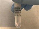 Nice Anti-Cy5 Antibody