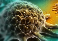 The Race Against Cancer: Exploring the Need for Innovative Immune Checkpoint Therapy Options