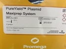 High Yield of Transfection-Quality Plasmid DNA Using this Kit