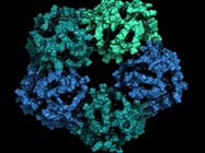 Targeted Protein Degradation Using PROTACs and Glues