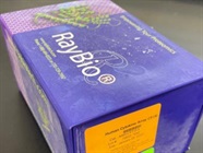 Reliable Human Chemokine Array