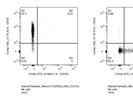 Very Good PE Anti-Mouse CD16 Antibody
