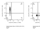 Very Good APC Anti-Mouse CD32 (Fcgr2) Antibody