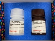 Great Reagent for Detection of Proteins in Western Blot