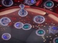 Inflammatory Biomarkers Across a Range of Human Diseases