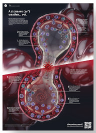 Normal Immune Response