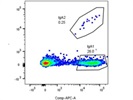 IgA2 Antibody Works Well