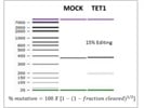 Good Kit for Measuring Editing Efficiency