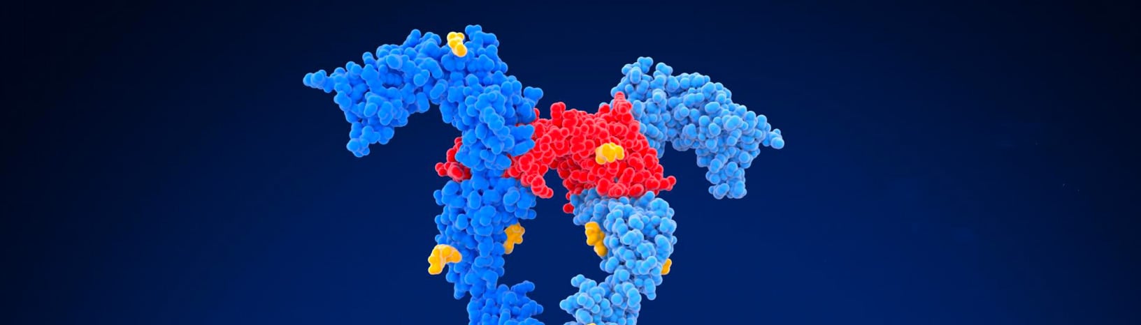  [Inspiring Target] VEGF, the Everlasting Target for Anti-tumor Therapy