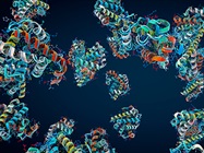 PTMs: Uncovering Another Layer in Protein Diversity