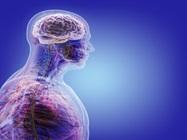 Infographic: How Inflammation Impacts the Body
