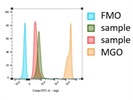 Reliable Methylglyoxal Antibody from Novus Biologicals