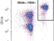 CD15 Antibody for Flow Cytometry Staining of MDSC