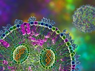 Quality Control in mRNA Vaccine Manufacturing—The Critical Path