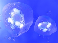 Novel Immuno-regulatory Methods Using Designer Extracellular Vesicles