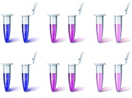 PCR Troubleshooting Guide