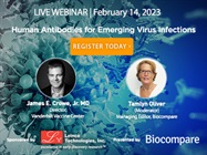 Human Antibodies for Emerging Virus Infections