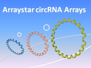 10% OFF Accurate CircRNA Profiling with Rich Analysis