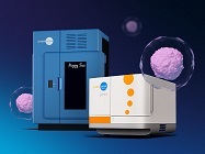 High Sensitivity Multiplexing of Phospho & Total Proteins