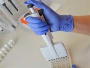 Infographic: Immunoassay Troubleshooting Tips