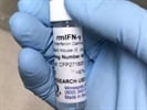 Great Mouse IFN-Gamma Protein
