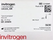Nice Calcein AM, Cell-Permeant Dye