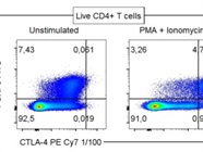 Good Option to Detect CTLA-4