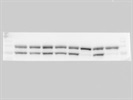 PARP Antibody Always Works for Western Blot