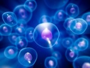 Integrated & Advanced Technologies for Successful Cell Line Development