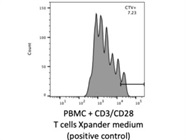 Cell Trace Violet to Quantify Proliferation
